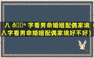 八 🌺 字看男命婚姻配偶家境（八字看男命婚姻配偶家境好不好）